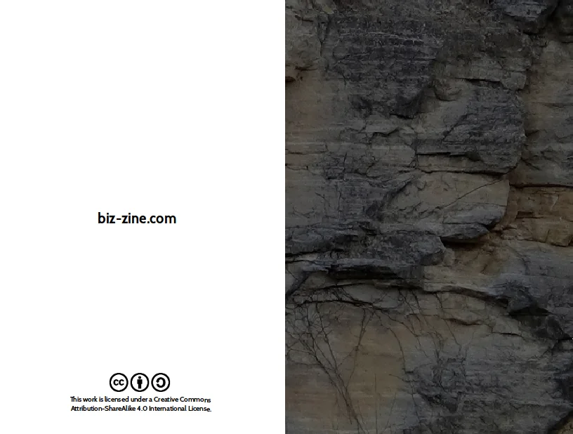 Biz-Zine Page 14
