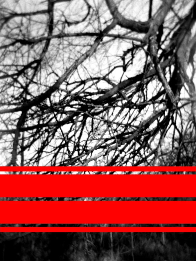 Branches, 2015