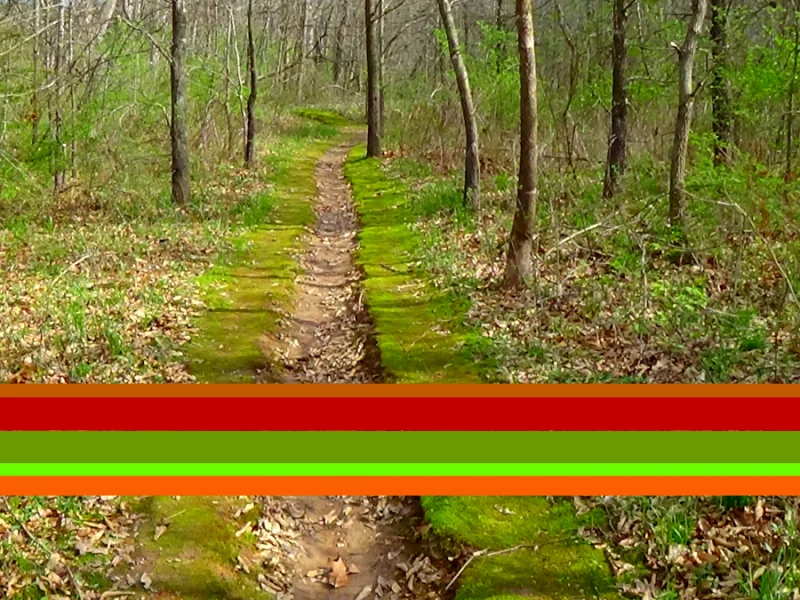 Digital Hiker, 2015
