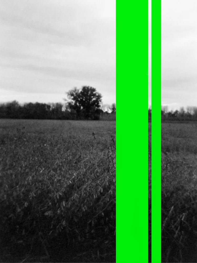 Private Greens, 2015
