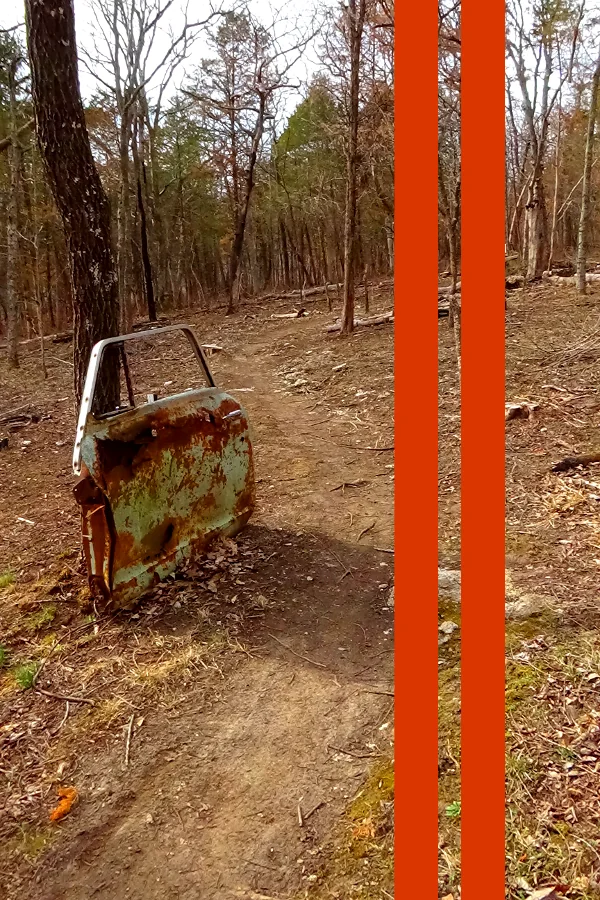 Sunday Driver Orange