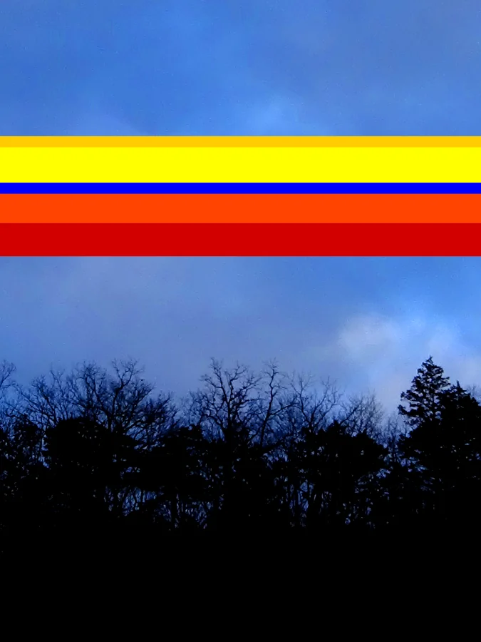 Treetops, 2016