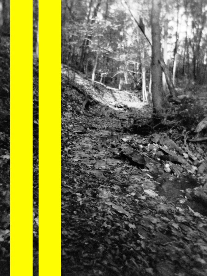 Yellow Road, 2015